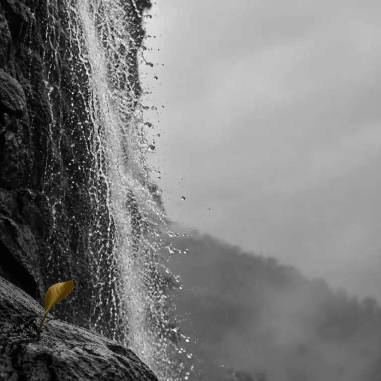 Waterfall season: São Tomé's Cascata São Nicolau and the green that comes with the first rains