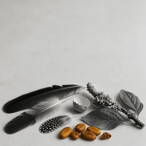 São Tomé's endemic birds: a practical guide to species found nowhere else on Earth